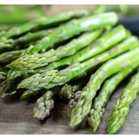 Green asparagus, Asparagus officinalis, Mary Washington 